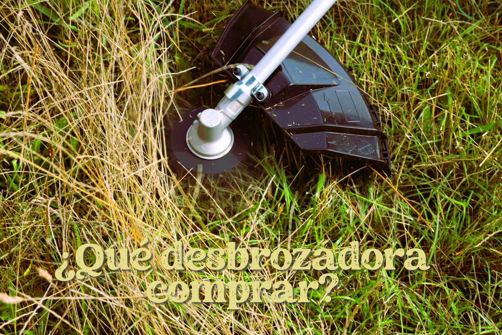¿Que desbrozadora comprar? Guía definitiva para elegir la mejor según tu terreno y necesidades